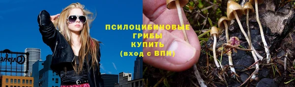 твердый Медвежьегорск