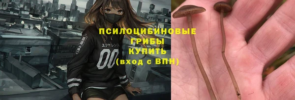 соль ск Медногорск