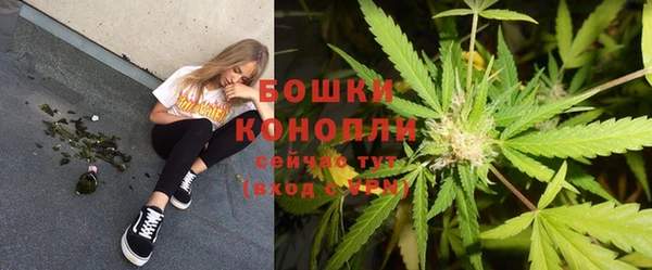 индика Орск