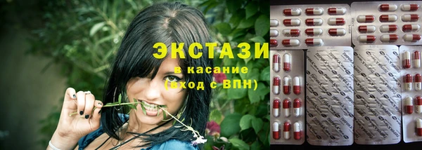 индика Орск