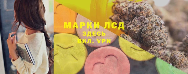 соль ск Медногорск