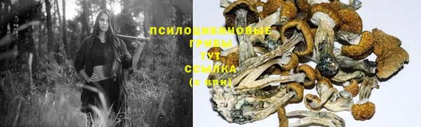 соль ск Медногорск
