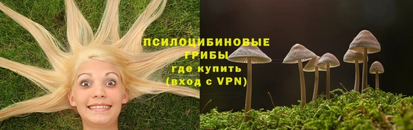 индика Орск